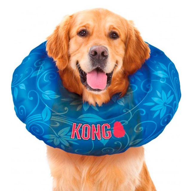 collar kong perros